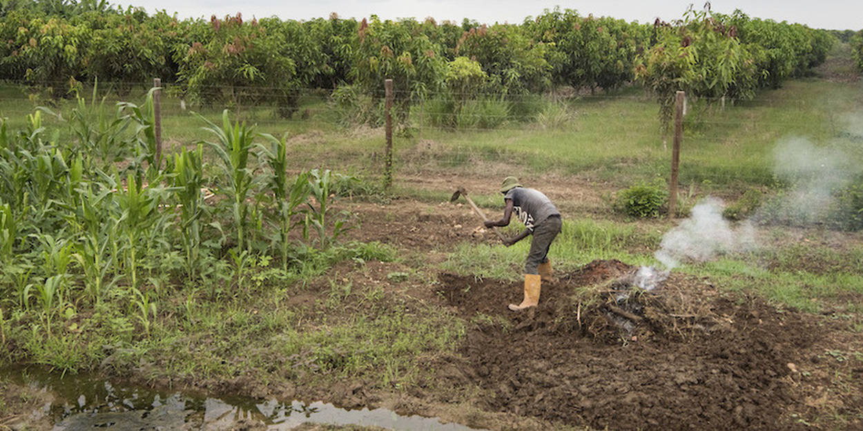 À chaque catastrophe, le secteur agricole paie énormément les frais